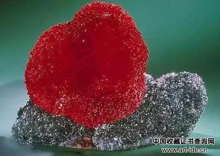 著名的蜗牛菱锰矿标本是世界闻名的矿物标本之一