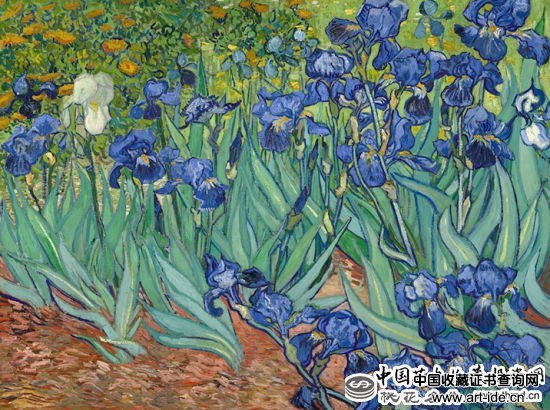 TOP7.《鸢尾花》(Irises，1889)，5390万美元